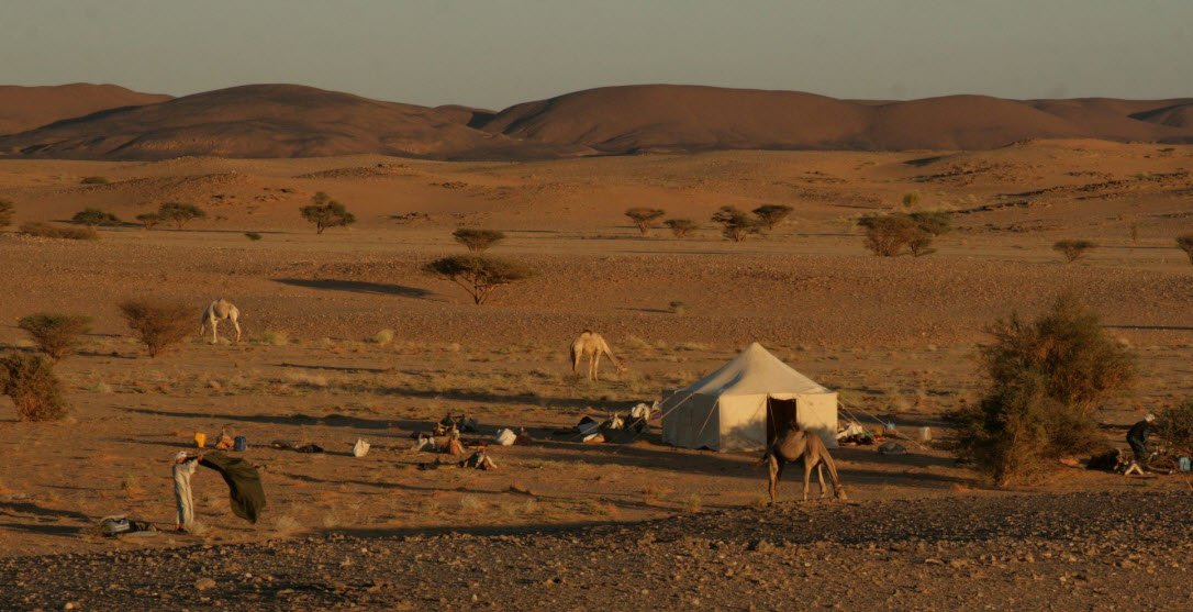 Bayuda Desert, Central Sudan, Sudan